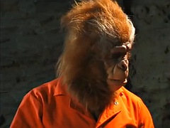 Pauzão, Boquete, Vagabunda, Vintage