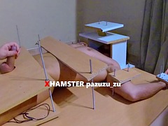 Amatéři, Femdom, Honění