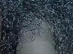 Enthousiasteling, Indisch, Masturbatie, Alleen