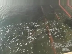 アジア人, フェティッシュ, 日本人