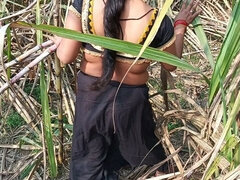 Kosmate, Indijka, Zunaj, Muco