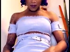 Amador amadora, Negroa, Boquete, Coleção, Ébano negroa, Hermafrodita andrógina