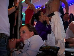 Power Tooled Party Cunts Part 4 - Cam 2