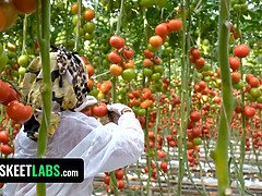 Prstovanie, Hd, Lesbické, Výprask, Orgazmus, Pička, Jačania, Kozičky