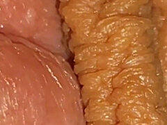 18 jaar, Enthousiasteling, Grote lul, Sperma shot, Masturbatie, Alleen, Billekoek, Tiener