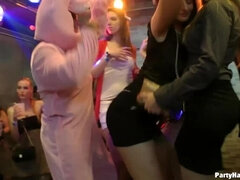 デカチン, 黒人, チン, ヒール, キス, オージー, ストッキング, スインガー