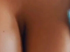 Amatør, Europeisk, Rødtopp, Alene, Pupper