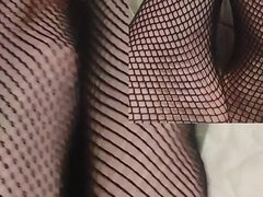 Fishnet Tease