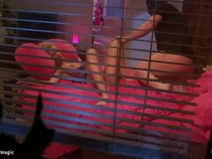 Kötözés – fegyelmezés, Kötözés, Ondó fröcskölés, Arcra élvezés, Fétis, Kőkemény, Durva, Rab