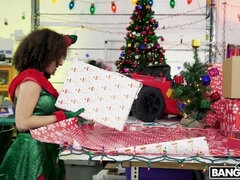 Amatőr, Kebles, Kutya póz, Kőkemény, Anyuci, Lovaglás, Leborotvált, Tini