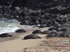 Amatör, Bikini, Brunett, Blottande, Flickvän, Rakad, Mager, Våt