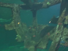 Salle de bains, Blonde, Petite amie, Culottes ou slips, Petite femme, Chatte, Cheveux courts, Jupe