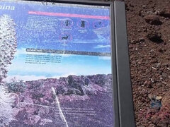 Amatør, Bad, Kukk suging, Kjæreste, Naken, Synsvinkel, Offentlig, Våt