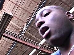 Analny, Duży kutas, Czarny, Obciąganie, Ciemna karnacja, Hardcore, Włoski, Orgia