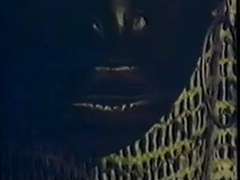 Sort, Sort, Behåret, Imellem racer