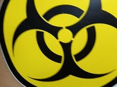 Amatoriale, Culo grosso, Capellona, Giapponese, Figa