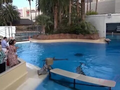 아마추어, 큰 가슴, 흑갈색 머리, Hd, 피어싱, 샤워, 문신