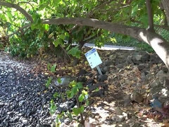 Amatör, Strand, Bikini, Flickvän, Naken, Röker, Sockor, Tuttar