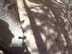 In den arsch, Blasen, Geschnappt, Besamung, Hd, Pov, Realität, Jungendliche (18+)