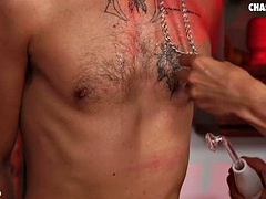 Bdsm, Stor kukk, Kukk suging, Par, Europeisk, Fetisj, Homofil, Onani