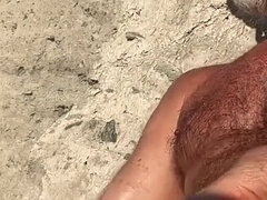 Bate Coaching Under the Sun