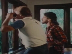 Perännuolu, Italialainen, Rajua, Tissit, Vuosikerta