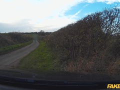 Amatéři, Auto, Stříkání spermatu, Na pejska, Na obličej, Venku, Různé pohledy, Uniforma