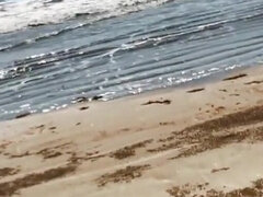 Leie, Grosse titten, Auto, Erotisch, Flashen, Hausfrau, Im freien, Titten