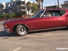 Beach Life - DP Edition - Anissa kate