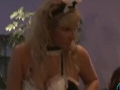 Blond, Bruinharig, Classisch, Hongaars, Lesbisch, Kut duiken, Tieten likken, Speelgoed