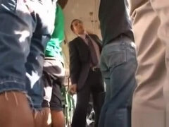 Aasialainen, Karvainen, Rankka, Japanilainen, Julkinen