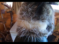 Amaterji, Fafanje, Cameltoe, Par, Milf, Prvoosebno snemanje seksa