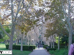 Popó, Diákotthon, Mélytorok, Pénisz, Arcra élvezés, Filigrán alkatú, Egyetemista, Begyek