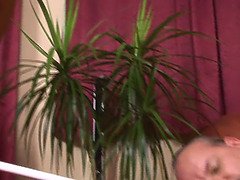 Grosse titten, Blasen, Paar, Spermaladung, Hausmädchen, Muschi, Schreiend, Titten