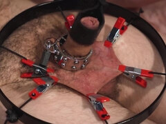 Amatéri, Bdsm, Oblečené ženy, Femdom, Poníženie, Milenka, Orgazmus, Otrok