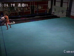 Τρισδιάστατο