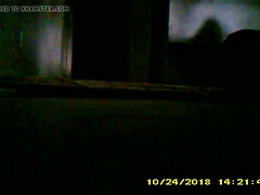 Fucking Detroit crack black pussy