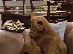 아마추어, 큰 음경, 모음집, 혼자, 빈티지