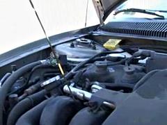 Mercedez Got Pimped: Blowjob, Ebony  Black Porn