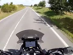 Mooi, Bruinharig, Bedriegen, Schattig, Hd, Buiten, Geschoren, Tieten likken