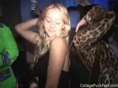 Avsugning, Universitet, Snopp, Hd, Party, Rödhårig, Tonåring, Tuttar