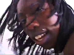 Amaterji, Analno, Črnke, Fafanje, Zunanji izliv, Temnopolti, Bradavičke, Joške