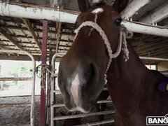 Amaterji, Zunanji izliv, Doggystyle, Hardcore, Majhen, Jahanje, Obrito, Najstnice