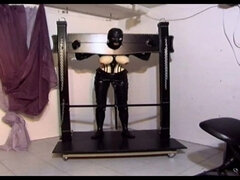 Bdsm, Bondage, Dominacija, Ženska dominacija, Ponižanje, Lateks, Sužnja