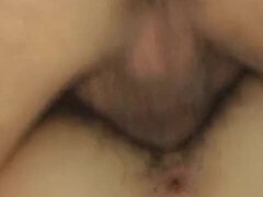 Asiater, Kukk suging, Bløtkake, Sperm skott, Hårete, Hardcore, Japaner