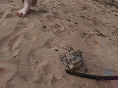 Amaterji, Plaža, Blondinka, Fafanje, Lutka, Dekle drka tiča, Muco, Joške