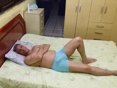 Gay bicha veado