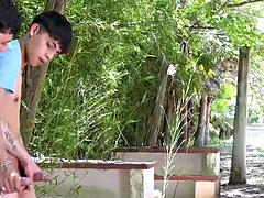 Amatööri, Brasilia, Homo, Rankka, Latinankieli, Julkinen, Ajeltu, Espanjalainen