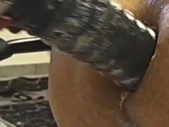 Amatőr, Pár, Műcerka, Domina szerep, Öklözés