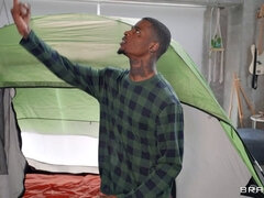 Hatalmas hátsó, Tekintélyes didik, Pénisz, Dupla behatolás, Ruha, Kézimunka, Fajok közötti, Hármas